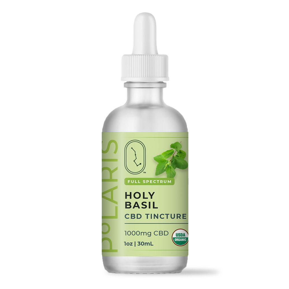 Holy-Basil-Organic-1